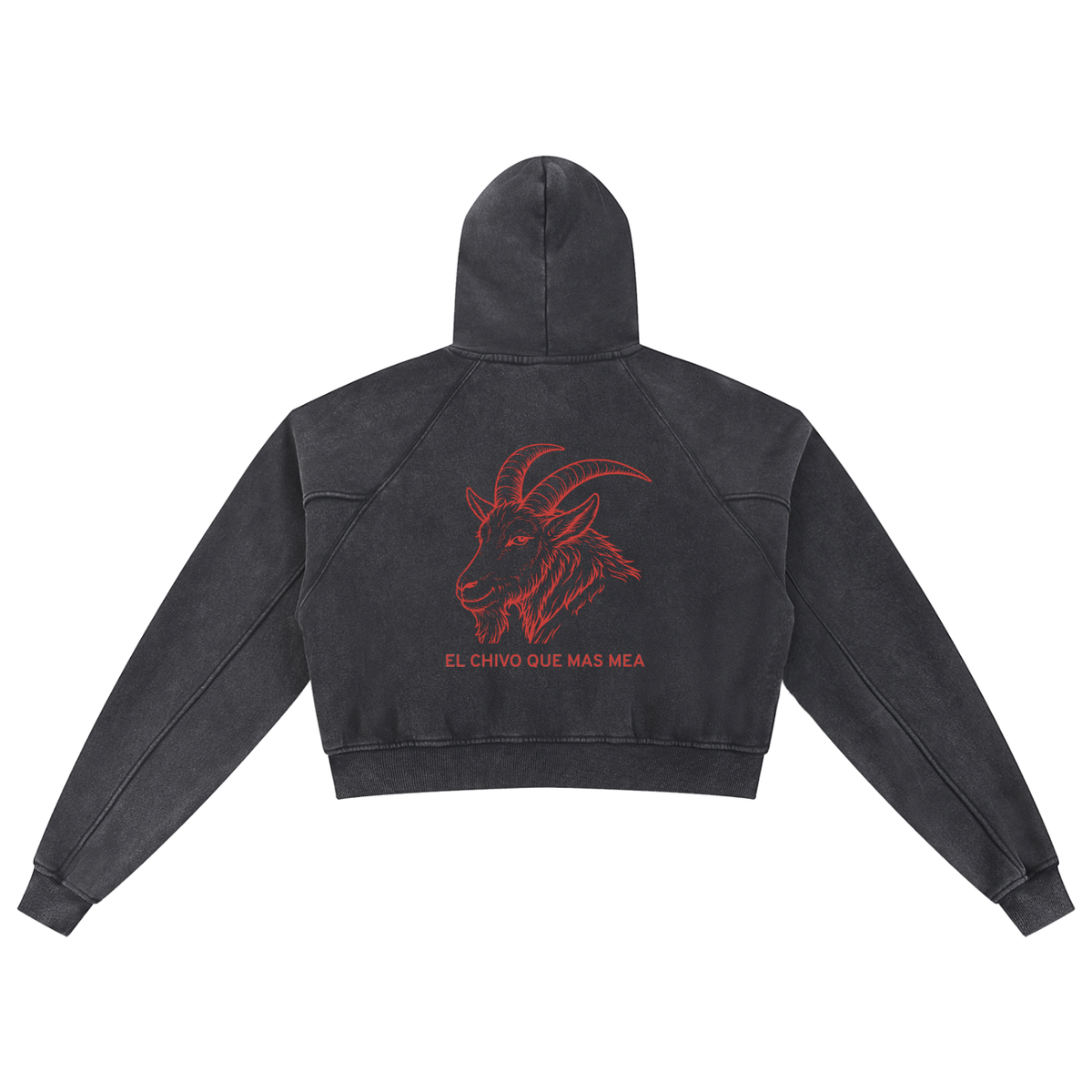 QC Washed Cropped Hoodie